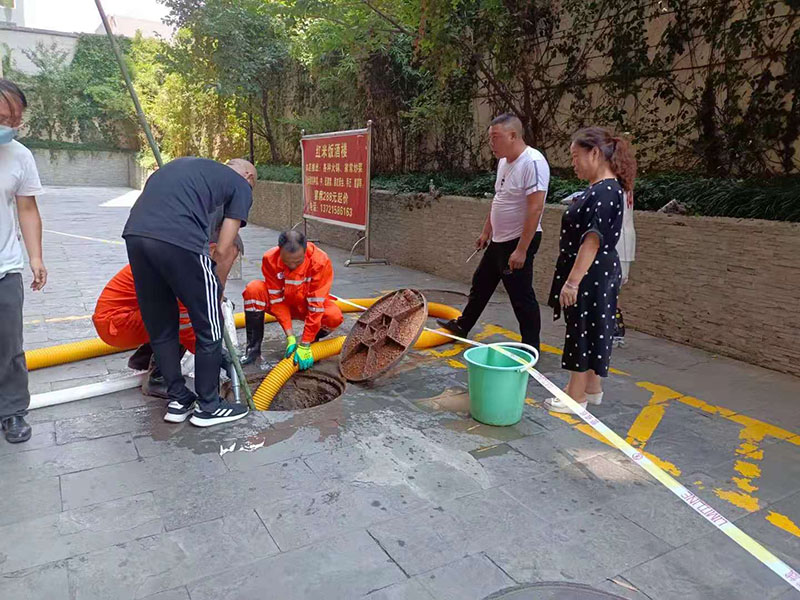 成功案例